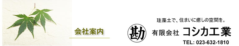 有限会社コシカ工業